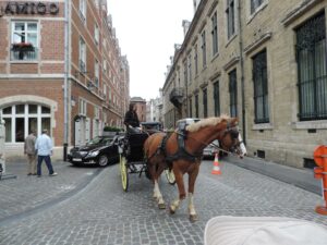 Belgiqueséjour PMR en Belgique 3